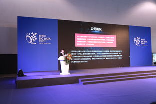 北京飛搜科技閃耀亮相2018年貴州數(shù)博會(huì)，引領(lǐng)信息技術(shù)咨詢服務(wù)新浪潮